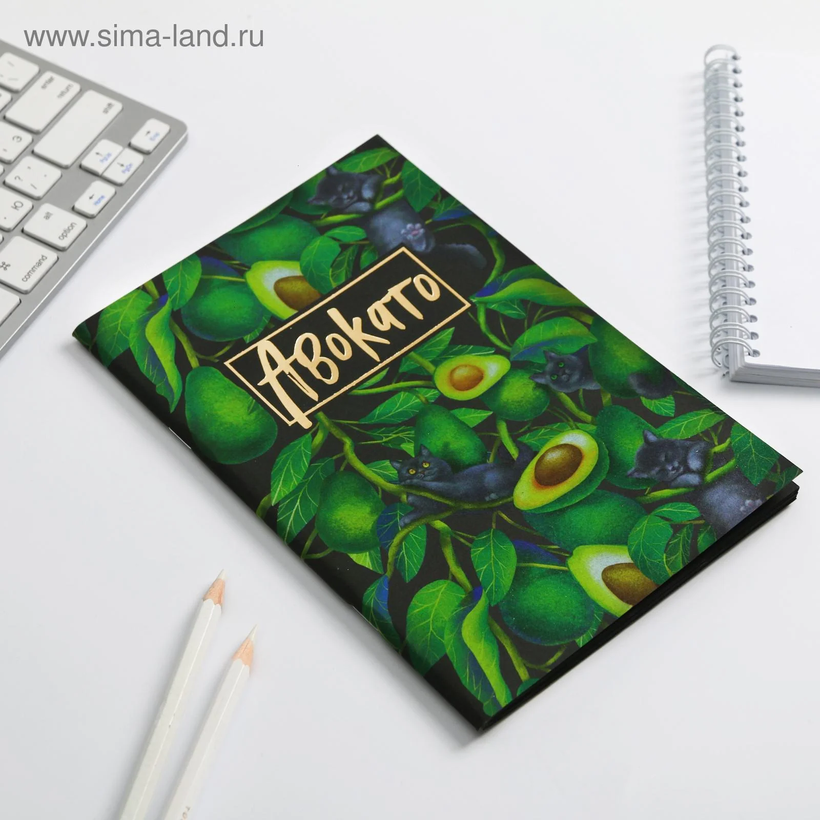 Блокнот с черными листами "Авокадо", с ручкой