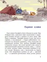 "Фаня, Апельсин и четверо из города. Свистать всех наверх!",  Варденбург Дарья