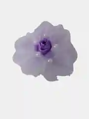Бант