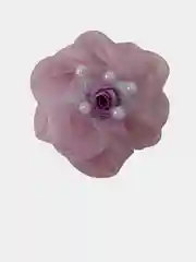 Бант