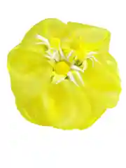 Лимонный бант