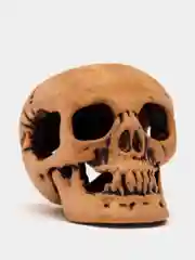 Декорация для аквариума череп малый 4,5x6x5см