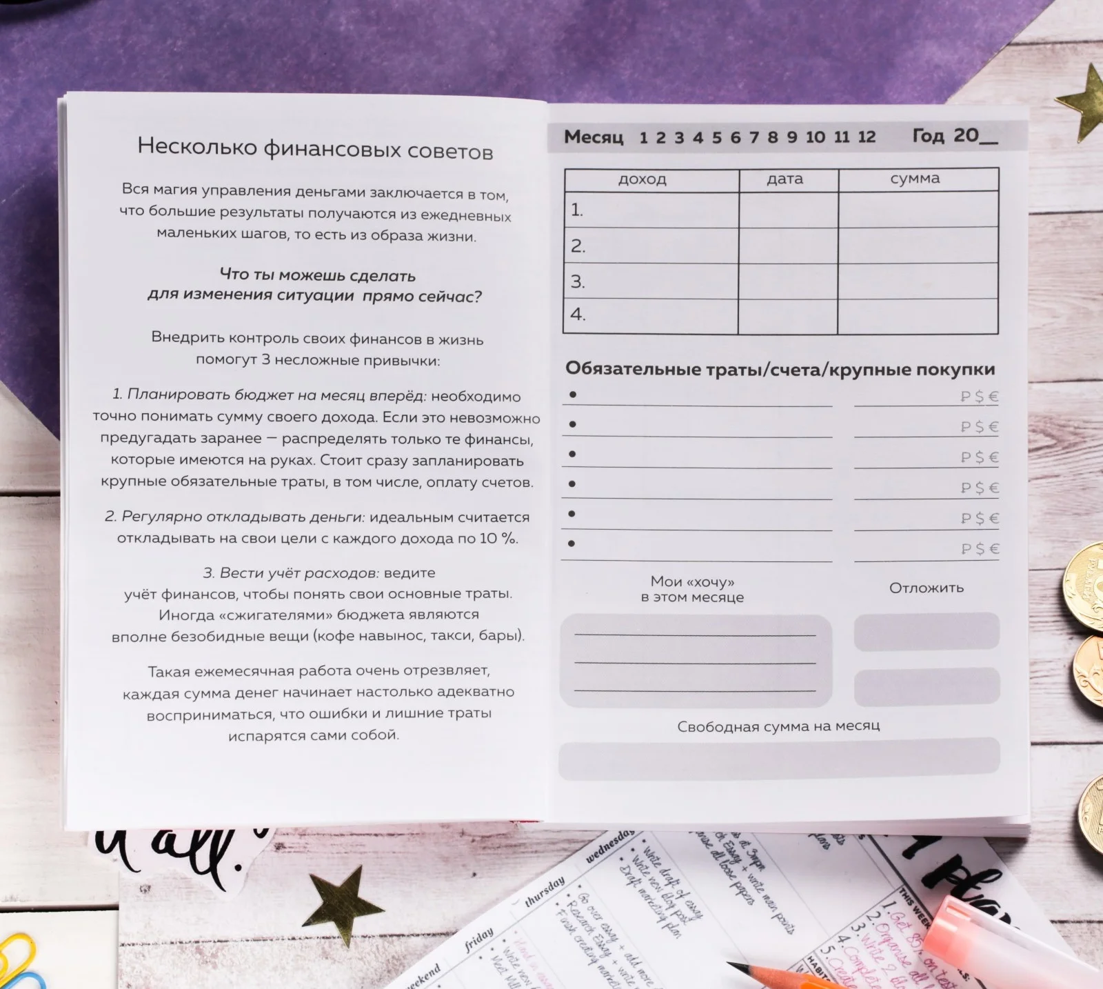 Умный блокнот CashBook "Советы енотика"