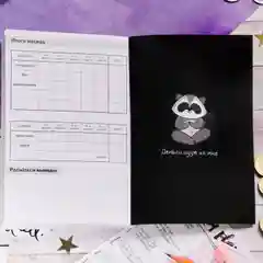 Умный блокнот CashBook "Советы енотика"