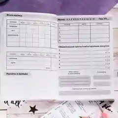 Умный блокнот CashBook "Советы енотика"