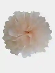 Бежевый бантик