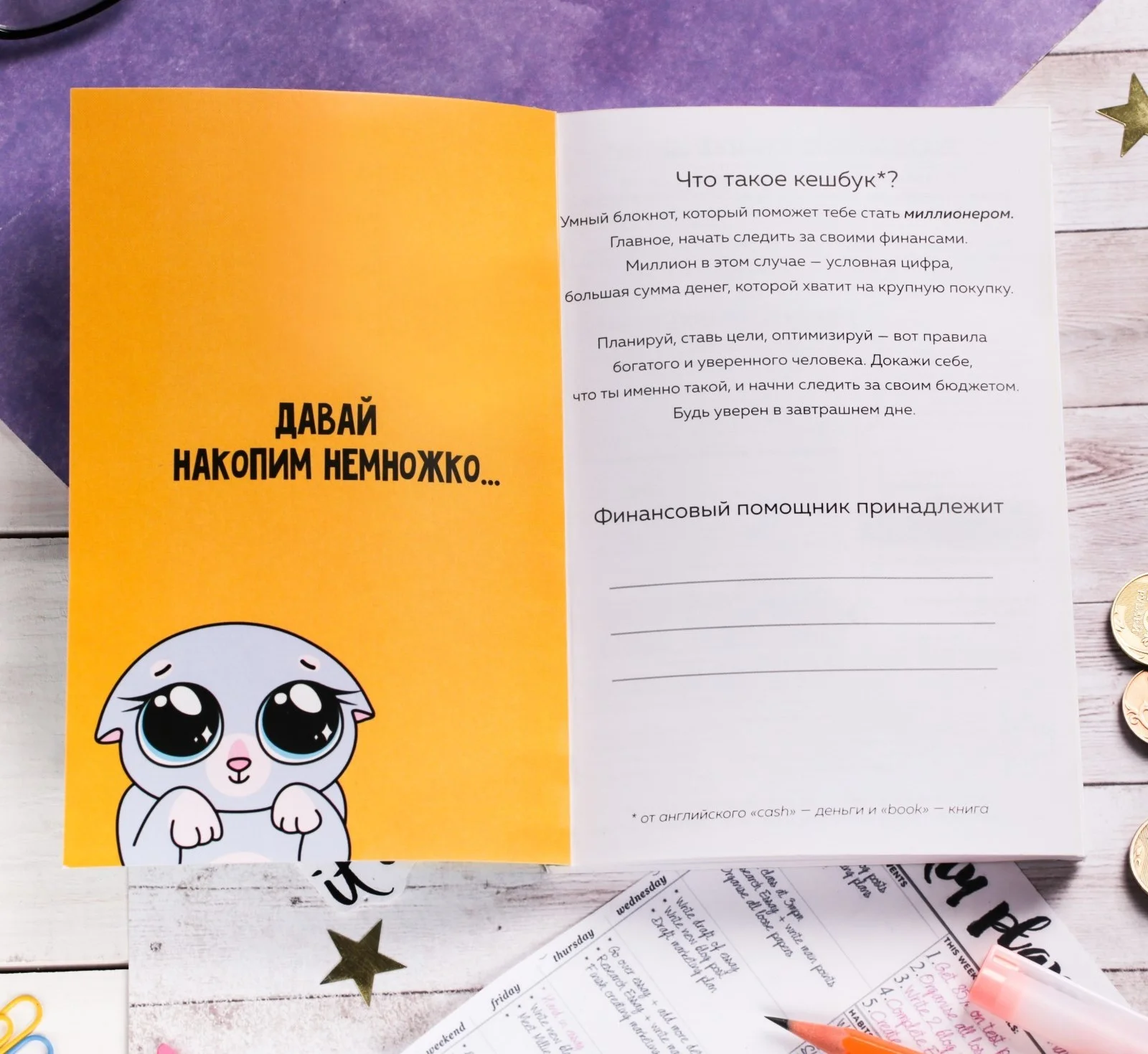 Умный блокнот CashBook "Денежный кот"