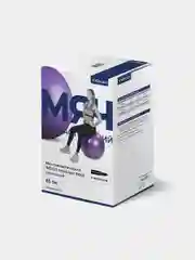 Мяч гимнастический Indigo Anti-burst с насосом, 65 см