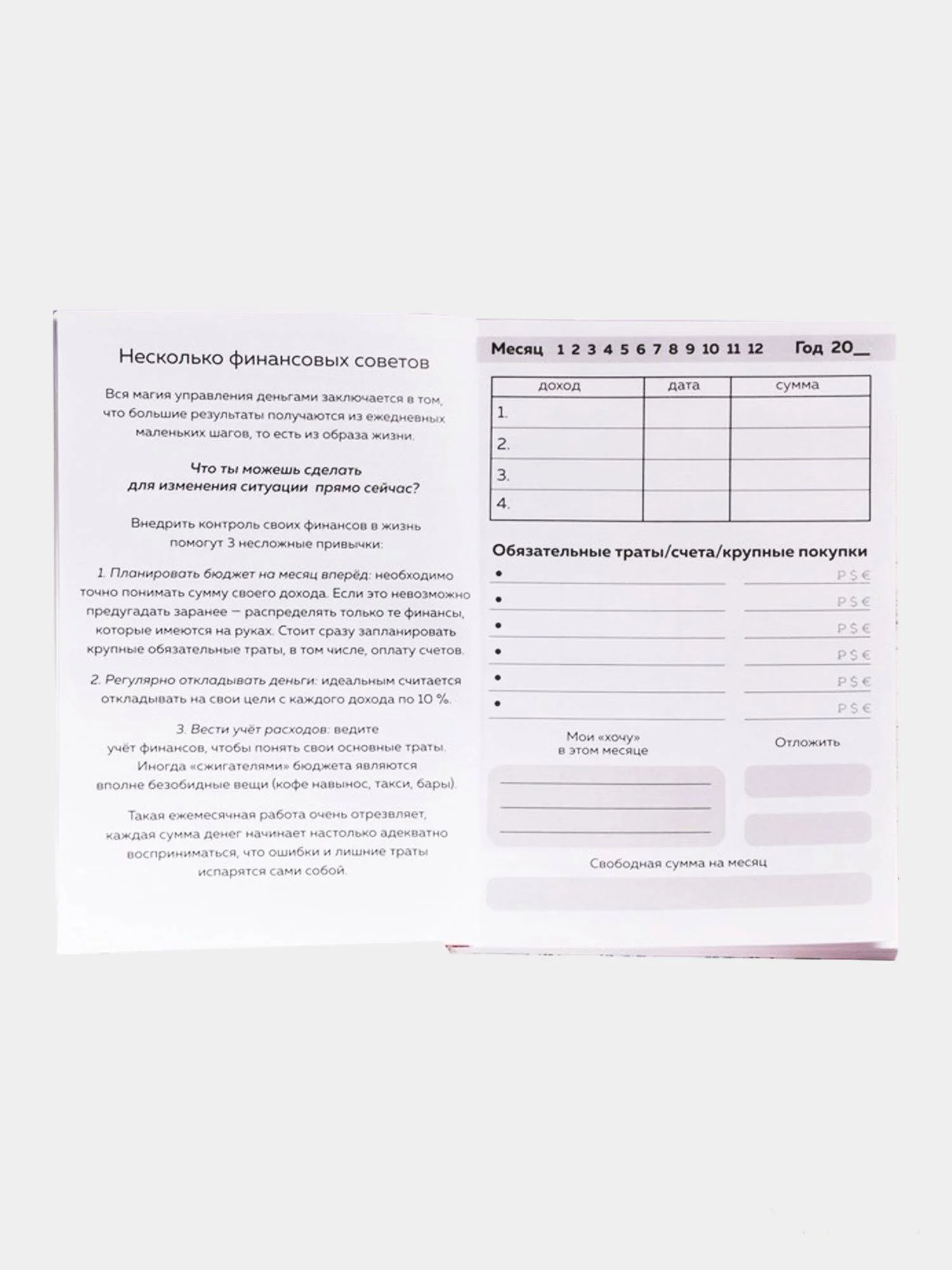 Умный блокнот CashBook "Советы енотика"