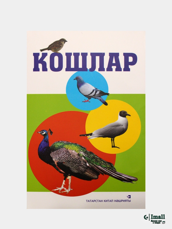 Дидактические карты на татарском языке. Животные. Птицы. Деревья. 20 карточек. Формат А5