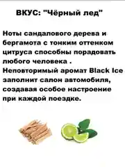 Заправка для ароматизатора в авто, мыла, увлажнителя воздуха "Черный лёд, Black ice" 10 мл