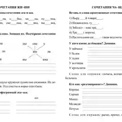 Русский язык. 2 класс: игры со словами. Задания и упражнения