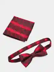 Бабочка и платок