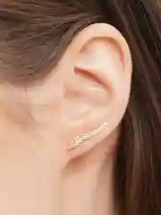 Золотой серьги Dowe