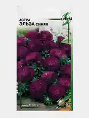 Семена цветов Астра "Эльза", синяя, 45 штук