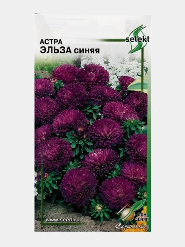 Семена цветов Астра "Эльза", синяя, 45 штук