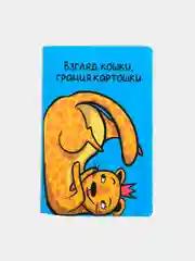 Голубой обложка для паспорта