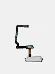 Шлейф Samsung G800F/G800H Galaxy S5 mini/G900F/G900FD/G900H Galaxy S5 + кнопка Home, бел