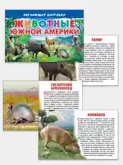Животные Южной Америки.  Обучающие карточки на картоне с познавательным текстом