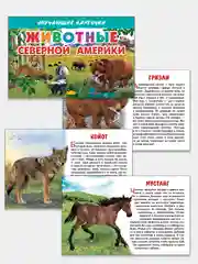 "Животные Северной Америки", обучающие карточки на картоне с познавательным текстом