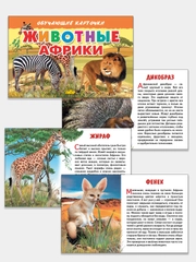"Животные Африки", обучающие карточки с познавательным текстом