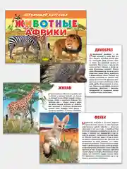 "Животные Африки", обучающие карточки с познавательным текстом