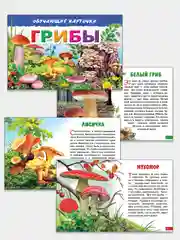 "Грибы" обучающие карточки на картоне с познавательным текстом
