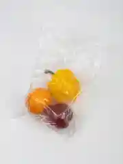 Пакет фасовочный, рулон, 100 штук, 24 х 35 см