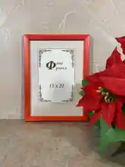Фоторамка дерево С14 Алая, пластиковый экран