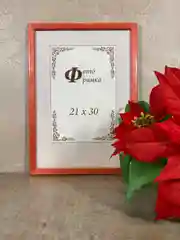 Фоторамка дерево С14 Алая, пластиковый экран