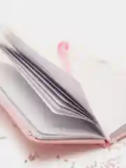 Набор для заметок: ежедневник "Flamingo" и ручка