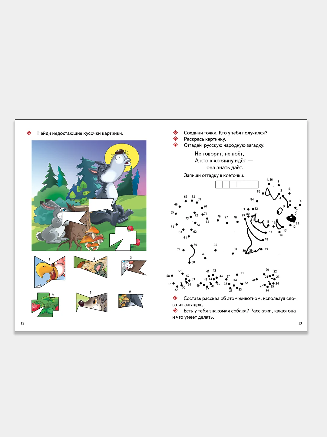"Загадки-обманки" 3-6 лет, толстая раскраска с заданиями
