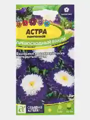 Семена цветов Астра помпонная "Превосходный Ракли"