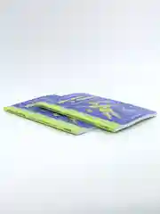 Книга детская Рисаля "Звёздочки в темноте"