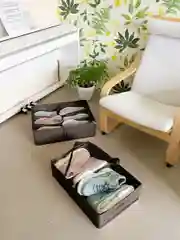 Кофр для обуви 53 х 40 х 15 см, 6 ячеек, Прага