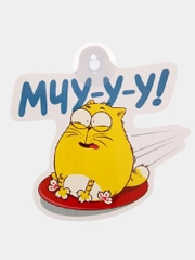 Табличка на авто "Мчу"
