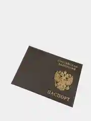 Серый обложка для паспорта, выделанная кожа