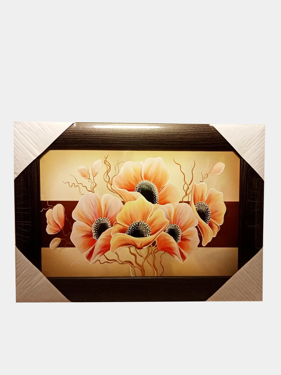Коралловый картины 25 Х 35 см. Репродукции