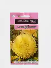 Цветы Астра Леди Корал жёлтая (семена)