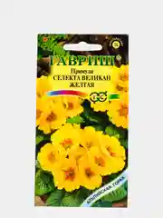 Примула Великан желтый (семена,цветы)