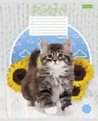 Тетрадь Hatber "Котята", клетка, 12 л