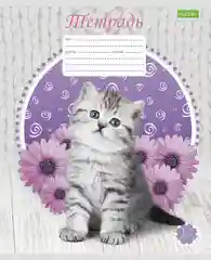 Тетрадь Hatber "Котята", клетка, 12 л