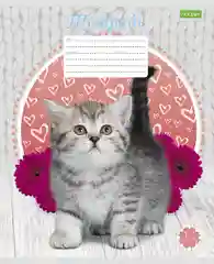 Тетрадь Hatber "Котята", клетка, 12 л