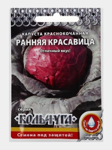 Семена Капуста краснокочанная раннеспелая "Ранняя красавица", 0,5 г