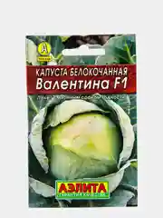 Капуста Валентина (семена)