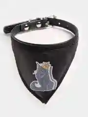 Угольный ошейник для кошек и собак с косынкой