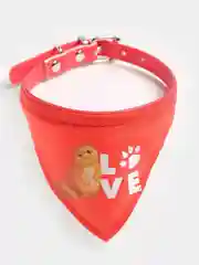 Коралловый ошейник для кошек и собак с косынкой