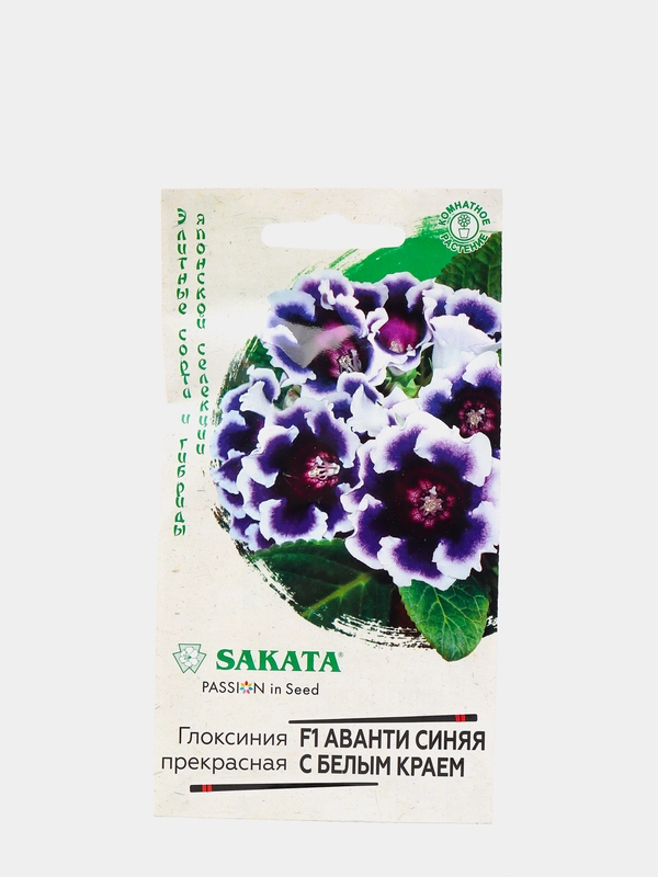 Глоксиния Аванти, синяя, с белым краем (семена, цветы)