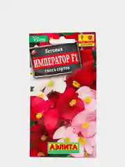 Бегония "Император" (семена, цветы)