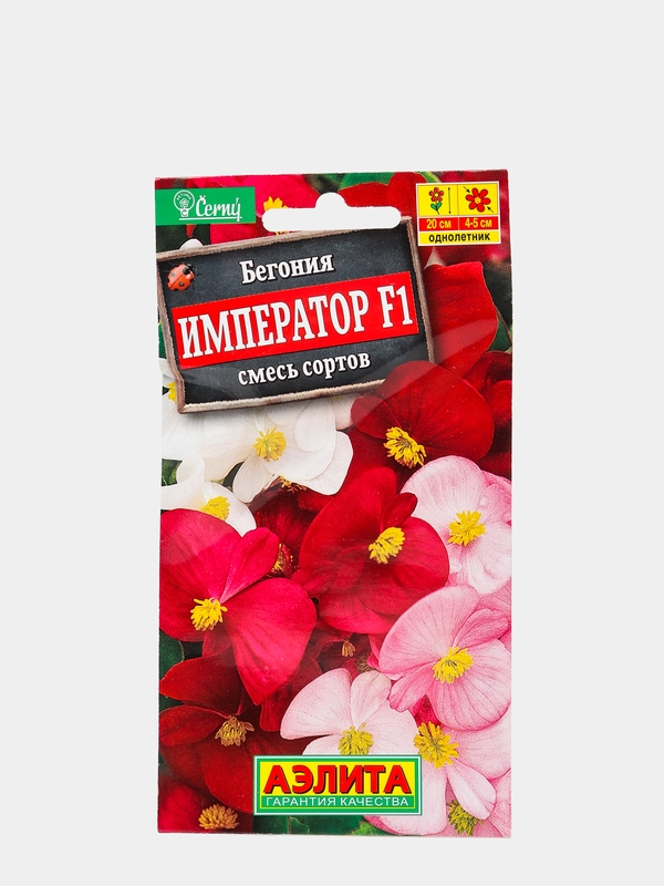 Бегония "Император" (семена, цветы)